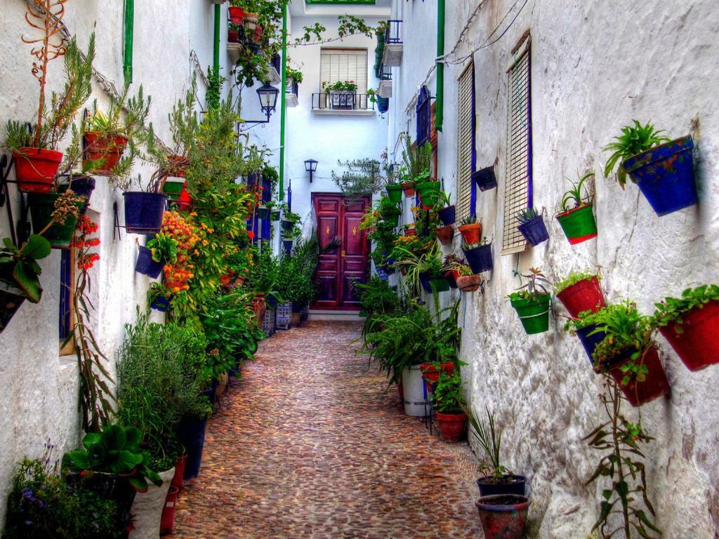 El Patio Dona Julia Leilighet Casares Eksteriør bilde