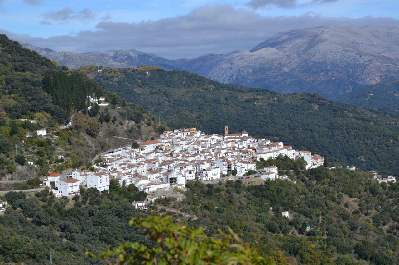 El Patio Dona Julia Leilighet Casares Eksteriør bilde
