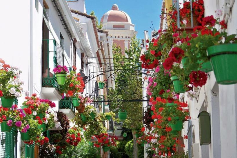 El Patio Dona Julia Leilighet Casares Eksteriør bilde